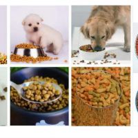 فروش خط تولید غذای حیوانات خانگی